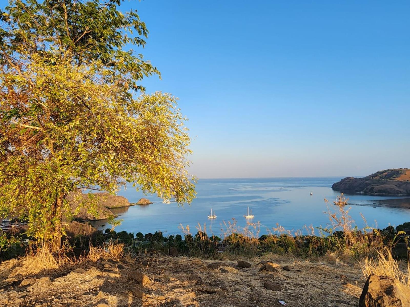 לבואן באג'ו Sylvia Hotel & Resort Komodo מראה חיצוני תמונה